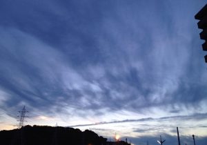 （名張市）松尾　忠子