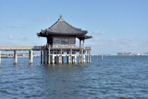 みどう俳壇2025年11月の特選句（森田純一郎選）