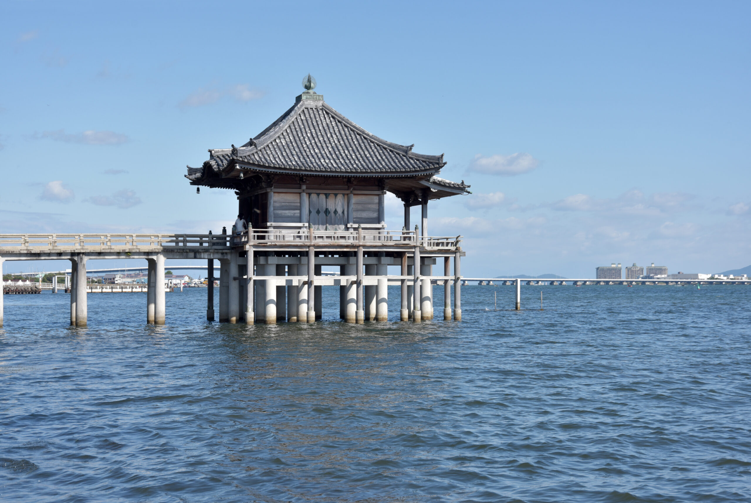 みどう俳壇2025年11月の特選句（森田純一郎選）