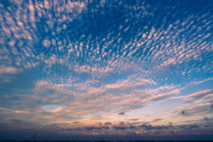 （神戸市）上岡　あきら