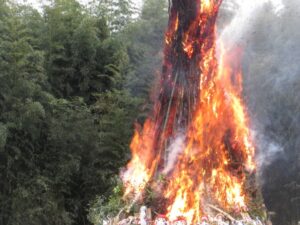 （名古屋市）中島葵