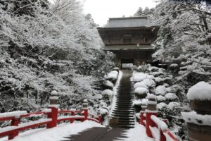 みどう俳壇2026年3月の特選句（森田純一郎選）